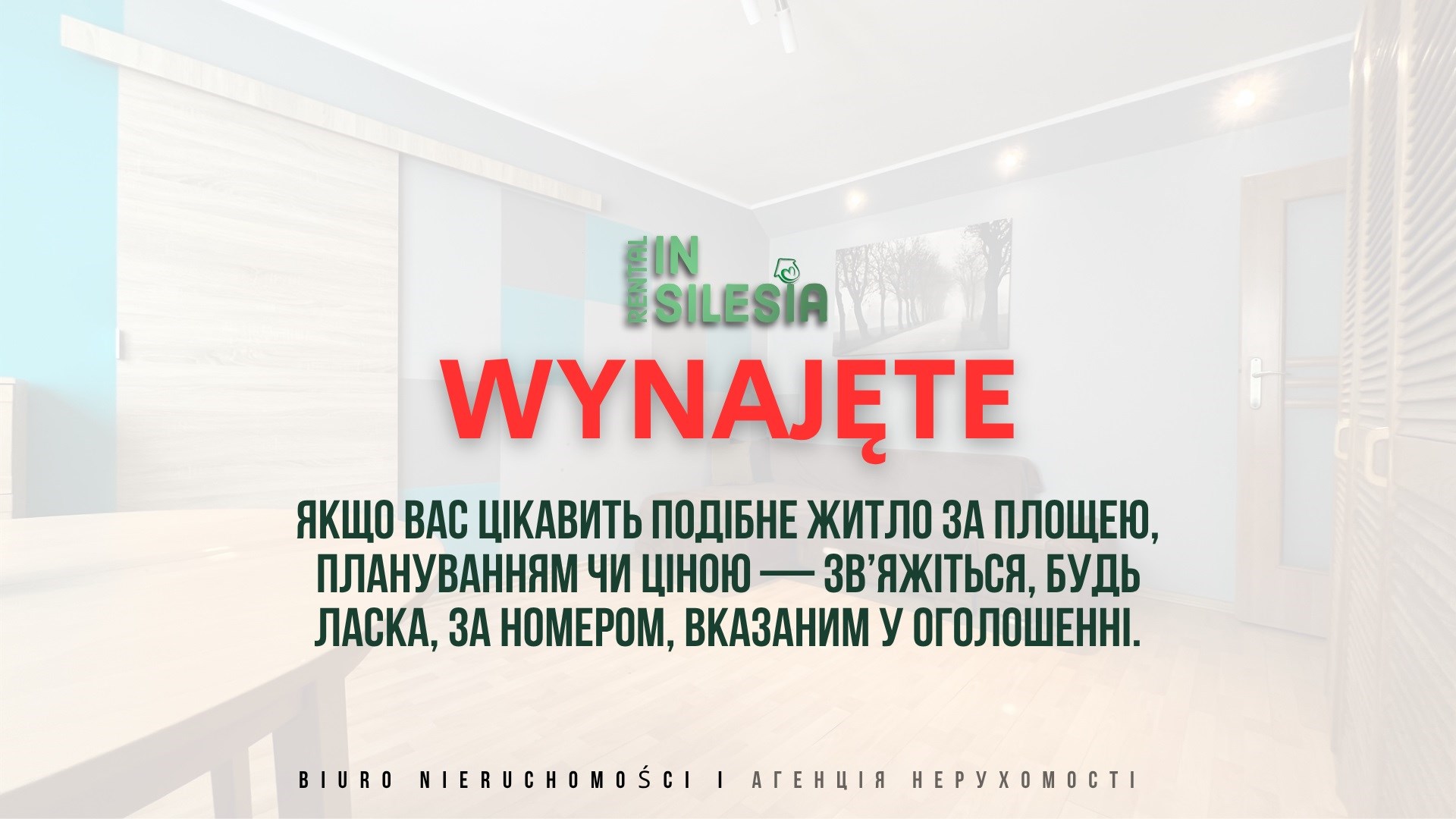 Mieszkanie na wynajem w spokojnej okolicy