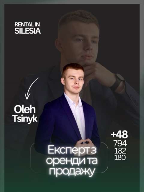 rentalinsilesia.com Średni.jpeg